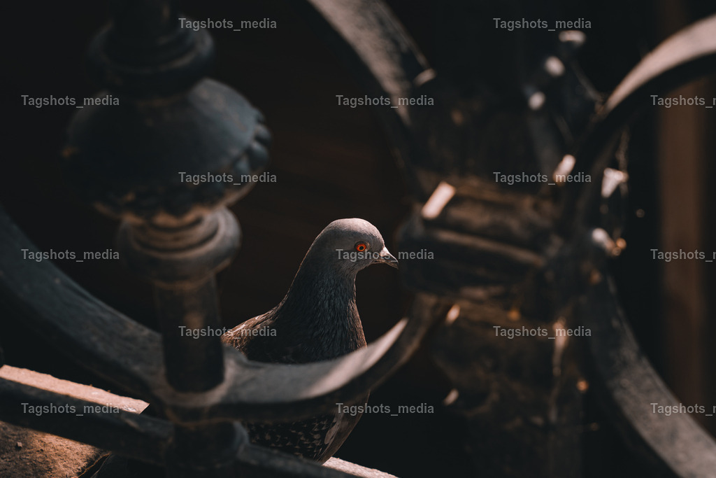 A7506246 | tagshotsmedia - Realisiert mit Pictrs.com