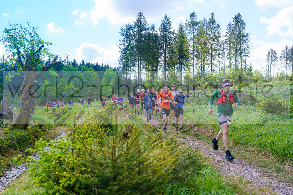 Rennsteiglauf Marathon 2025 | Marathon von Neuhaus/Rwg. nach Schmiedefeld/Rstg. am 17. Mai 2025