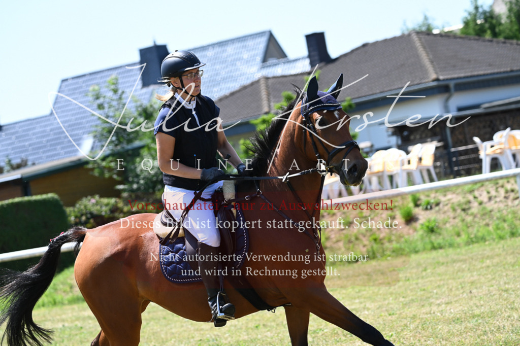 DSC_0632 | Pferde- und Turnierfotografie in Westsachsen. Pferdeportraits, Auftragszeichnungen und intuitive Kunst.