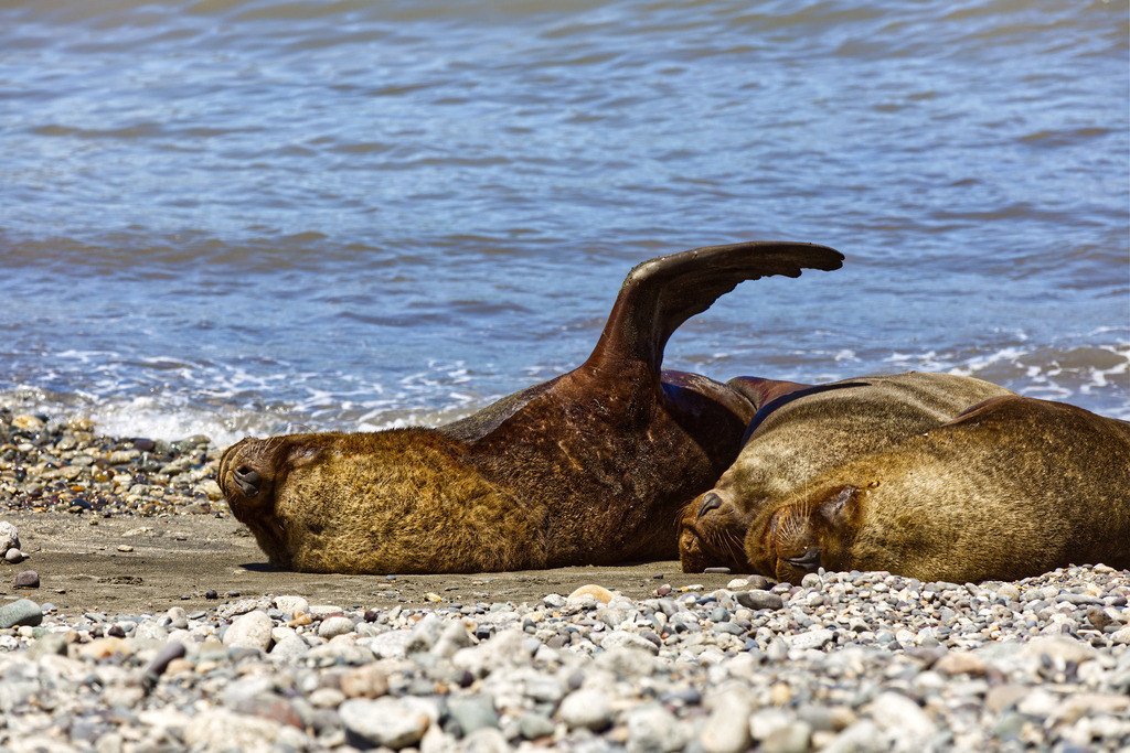 1H5A3355 | ansichtssache