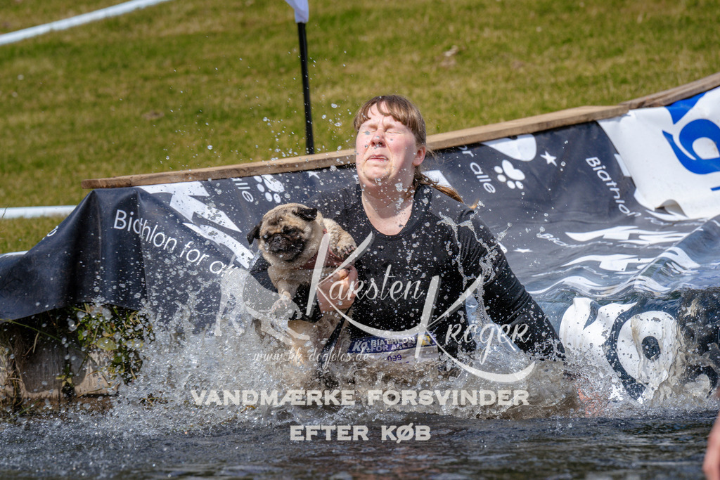 _ZZ990011049 | kk-dogfotos