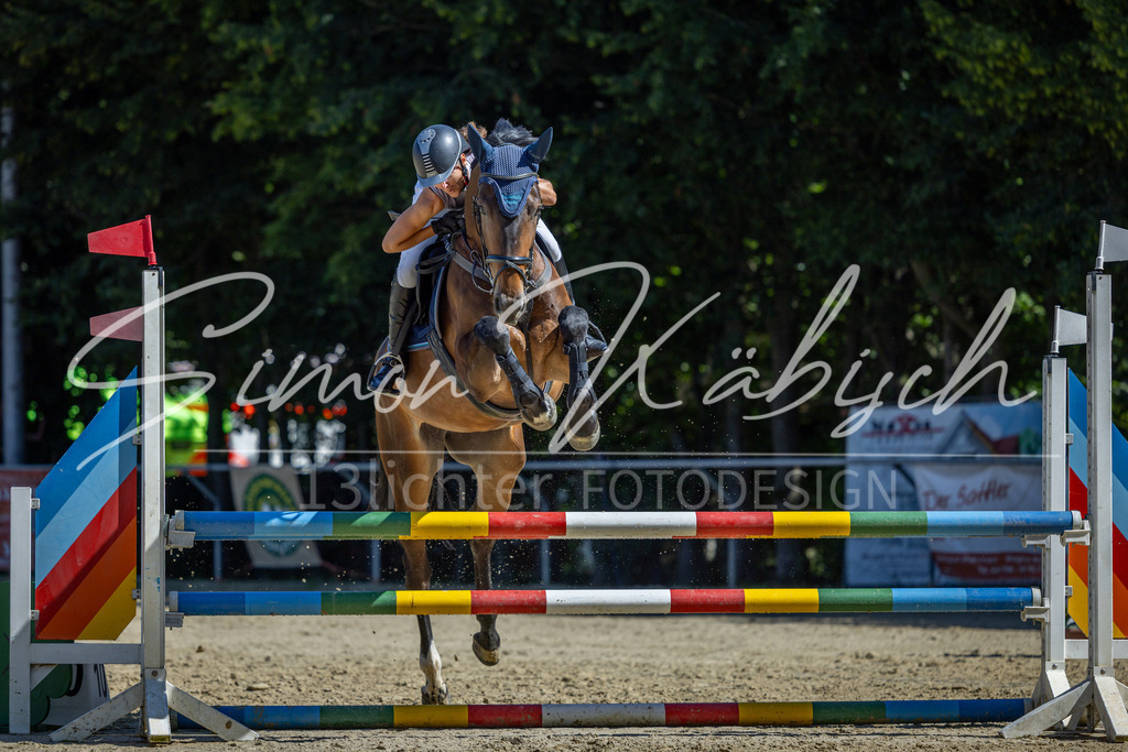 20260704-_3LI7512 | Tierfotografie Pferde, Hunde, Katzen, Haustiere.
Turnierfotografie Reitturniere, Reiten, Springreiten, Dressur in Hanau, dem Main-Kinzig-Kreis und dem Rhein-Main- Gebiet um Frankfurt