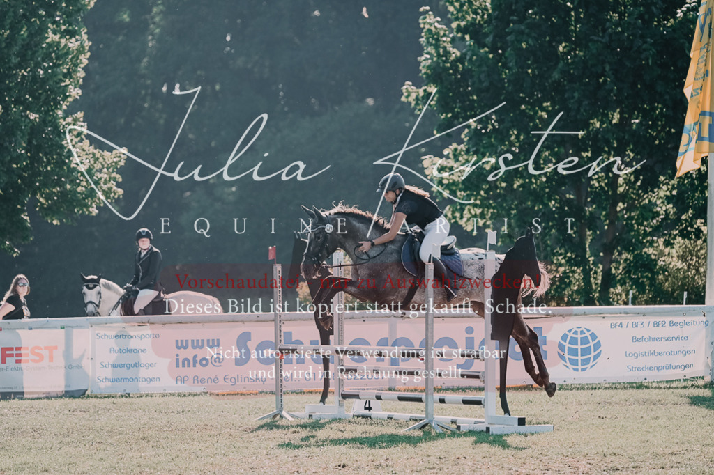 DSC_4485 | Pferde- und Turnierfotografie in Westsachsen. Pferdeportraits, Auftragszeichnungen und intuitive Kunst.