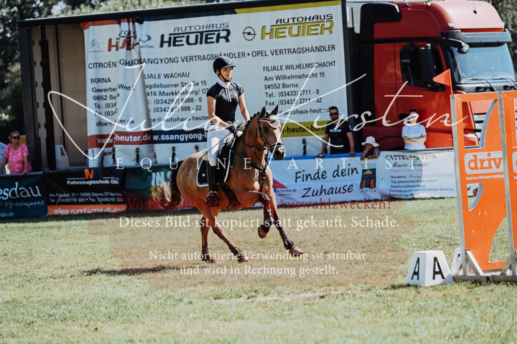 DSC_6033 | Pferde- und Turnierfotografie in Westsachsen. Pferdeportraits, Auftragszeichnungen und intuitive Kunst.