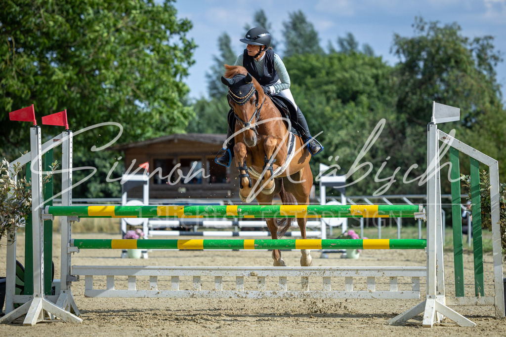 20260704-_3LI2166 | Tierfotografie Pferde, Hunde, Katzen, Haustiere.
Turnierfotografie Reitturniere, Reiten, Springreiten, Dressur in Hanau, dem Main-Kinzig-Kreis und dem Rhein-Main- Gebiet um Frankfurt