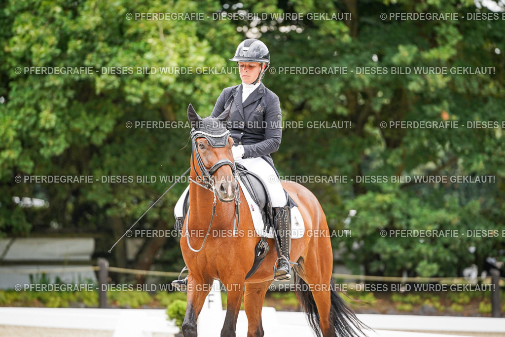 DSC07326 | Pferdegrafie