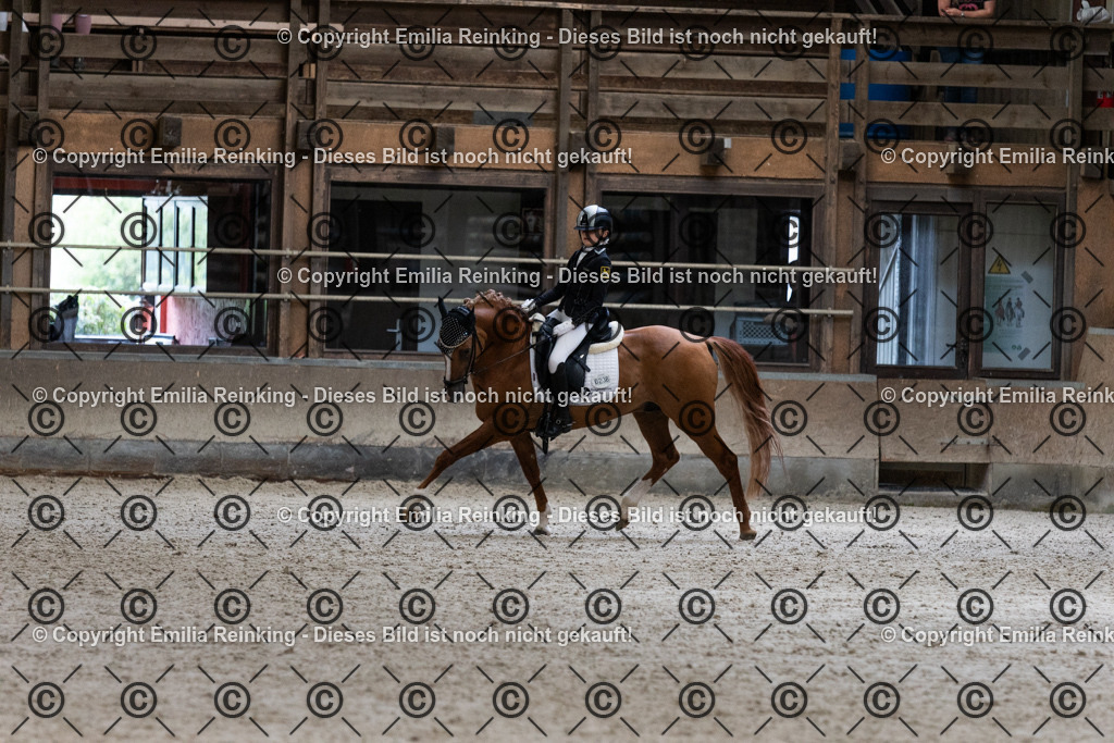 CL5A5220 | Emilia Reinking Fotografie - Realisiert mit Pictrs.com