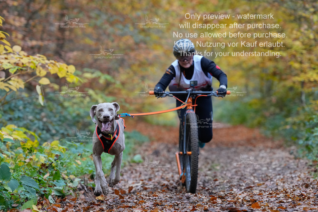 Scooter_So-27 | stephaniefillaphotographie - Realisiert mit Pictrs.com