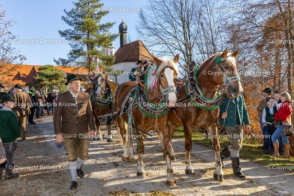 LBT25-1283 | foto-bettina-krinner - Realisiert mit Pictrs.com