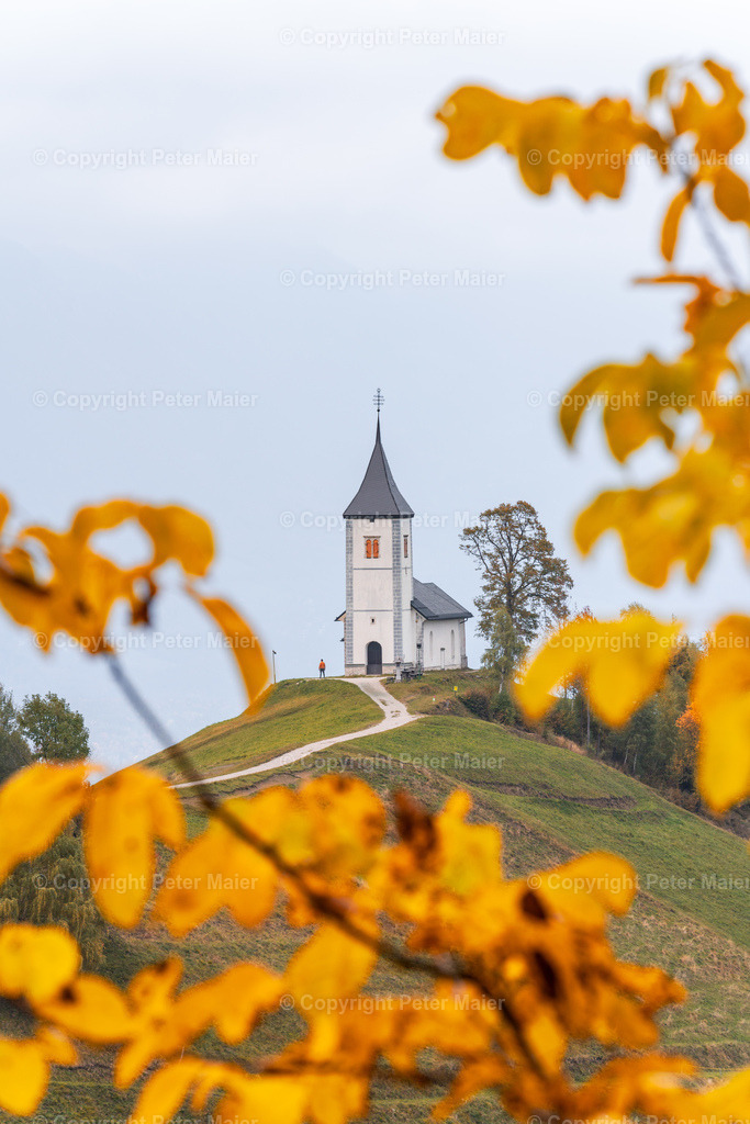 Jamnik-9 | piet_flosse