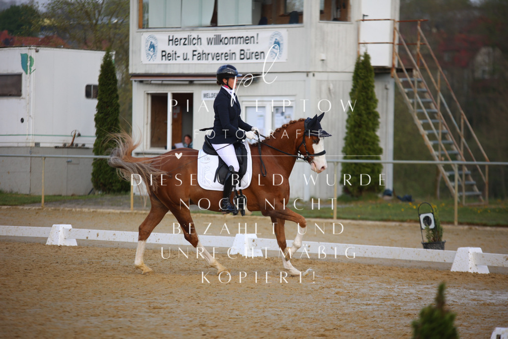 IMGT8480 | pl-fotografie