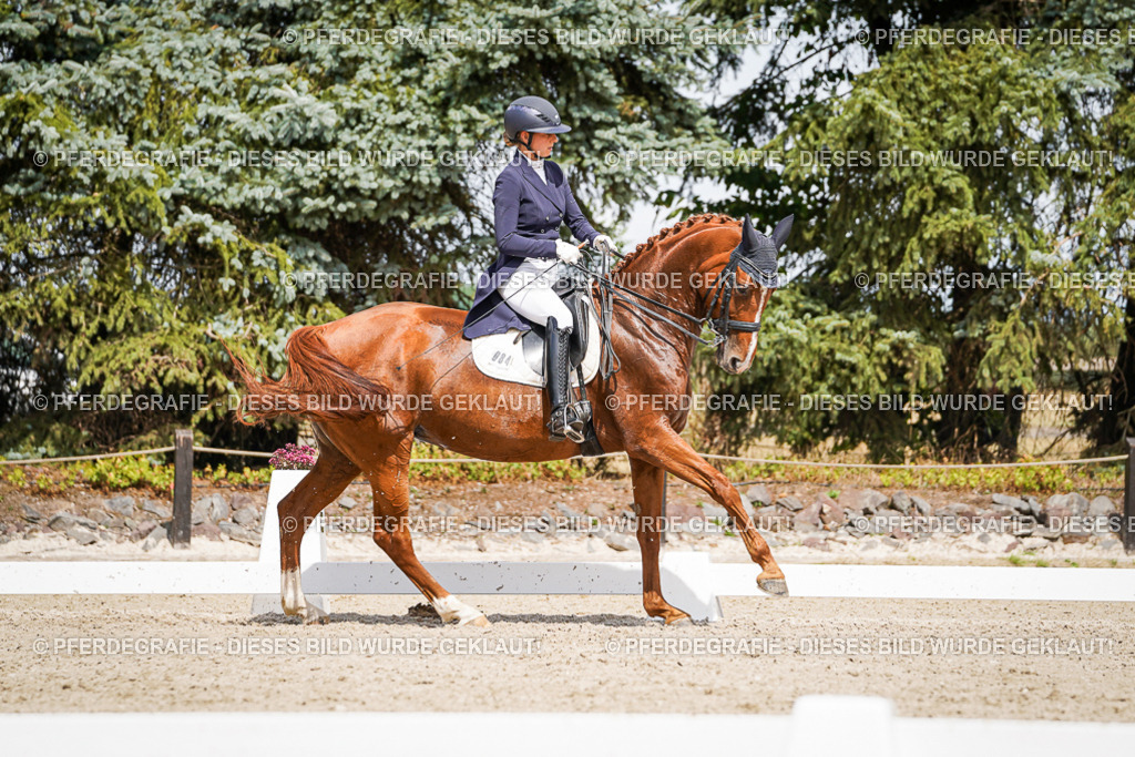 DSC06340 | Pferdegrafie