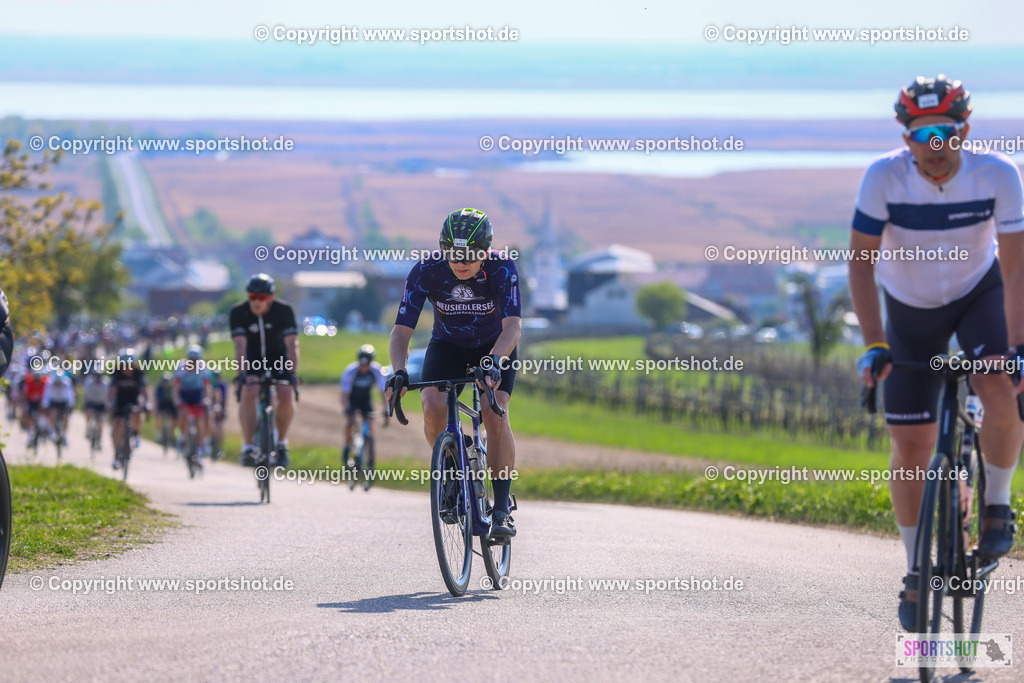 TRA_0761 | Neusiedlersee Radmarathon 2026@sportshot_your_pictrs #yourpictures#roadtowm2029 #nrm #neusiedlerseeradmarathon #neusiedlersee #neusiedlerseetourismus #burgenland #mörbisch #nrm26 #burgenlandtourismus #voglundco #poweredbyburgenlandtourismus #radsport #rad #marathon #ucigranfondo #visitburgenland #ucigranfondoworldseries