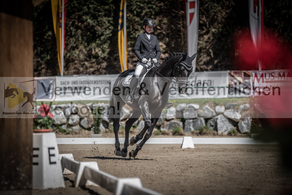 DSC_0182 | equestrian-live-com