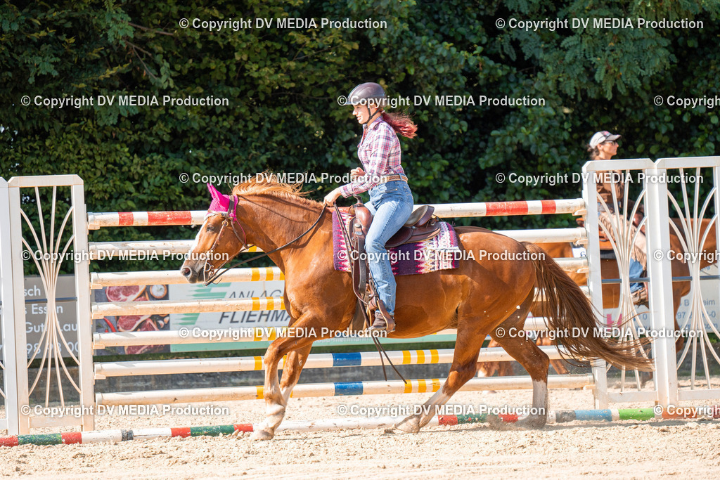 ZH100703 | dv-media-shop - Realisiert mit Pictrs.com