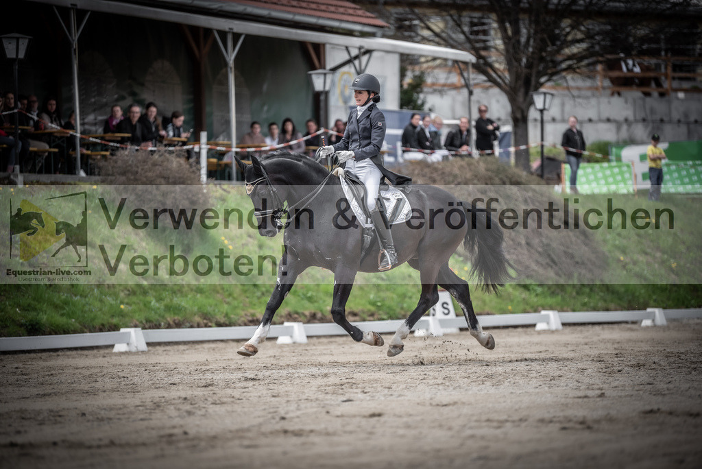 DSC_2740 | equestrian-live-com