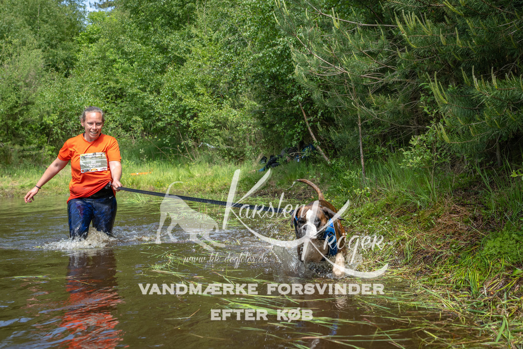 1228DKK992951 | kk-dogfotos