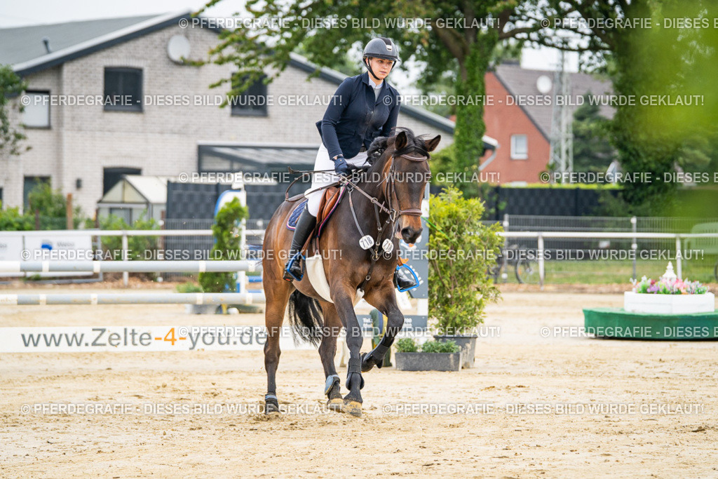 DSC09279 | Pferdegrafie