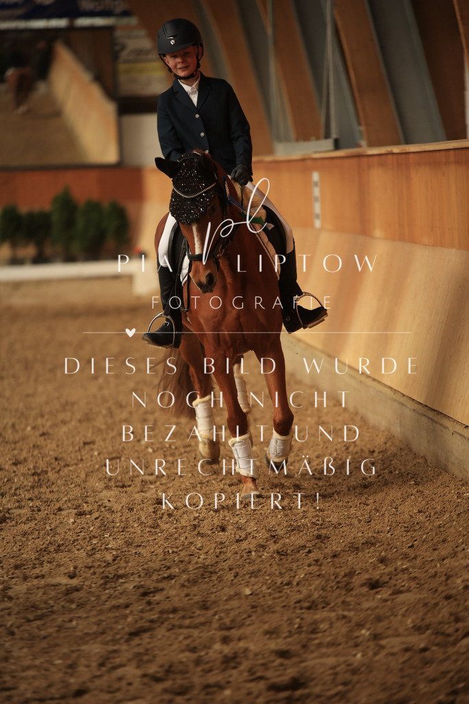 IMGT5225 | pl-fotografie