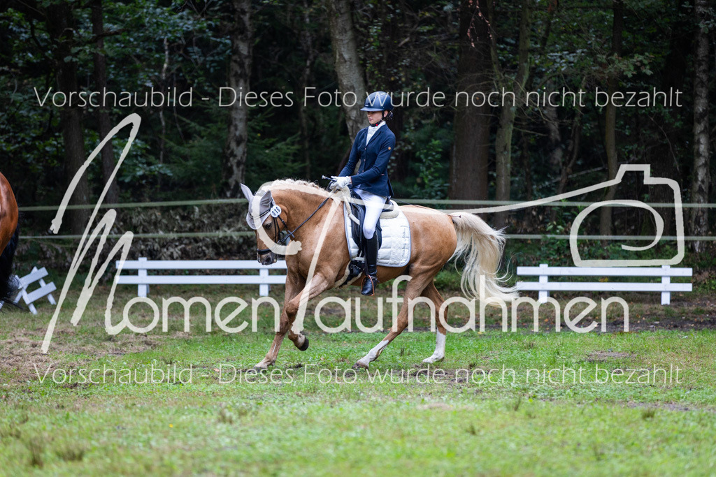 HB-A-Dressur-019 | MomenTaufnahmen Pferdesportfotos