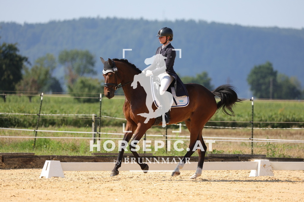 0P6A7896 | Willkommen bei Brunnmayr - Design & Fotografie – Ihrem Spezialisten für Reitturniere und Pferdeveranstaltungen in Oberösterreich, Salzburg und Bayern! Seit über 17 Jahren sind wir leidenschaftlich dabei.