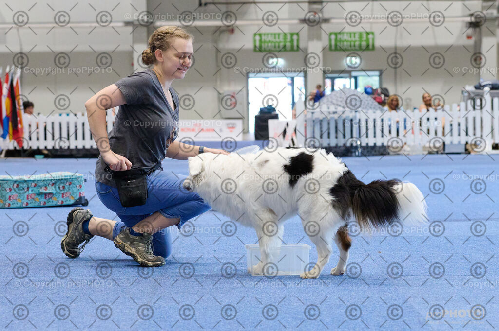 202406_ÖKV-IHA-Tulln24_DSC_4491 | proPHOTO - Realisiert mit Pictrs.com