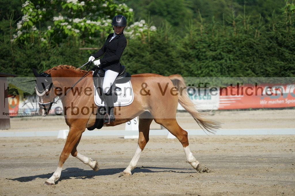 DSC04447 | equestrian-live-com