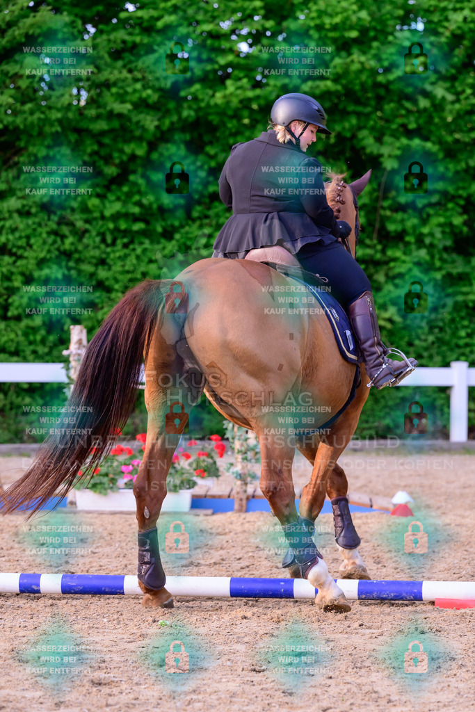 02052026-Giesenbach-03-Speedtrail-1057 | Fokus Hufschlag Fotografie - Realisiert mit Pictrs.com