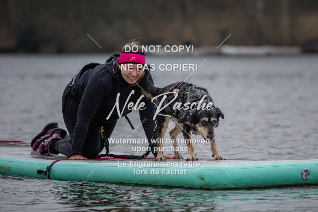 nelerasche_Hulsbeek_Sa1430-1515_328 | nelerasche