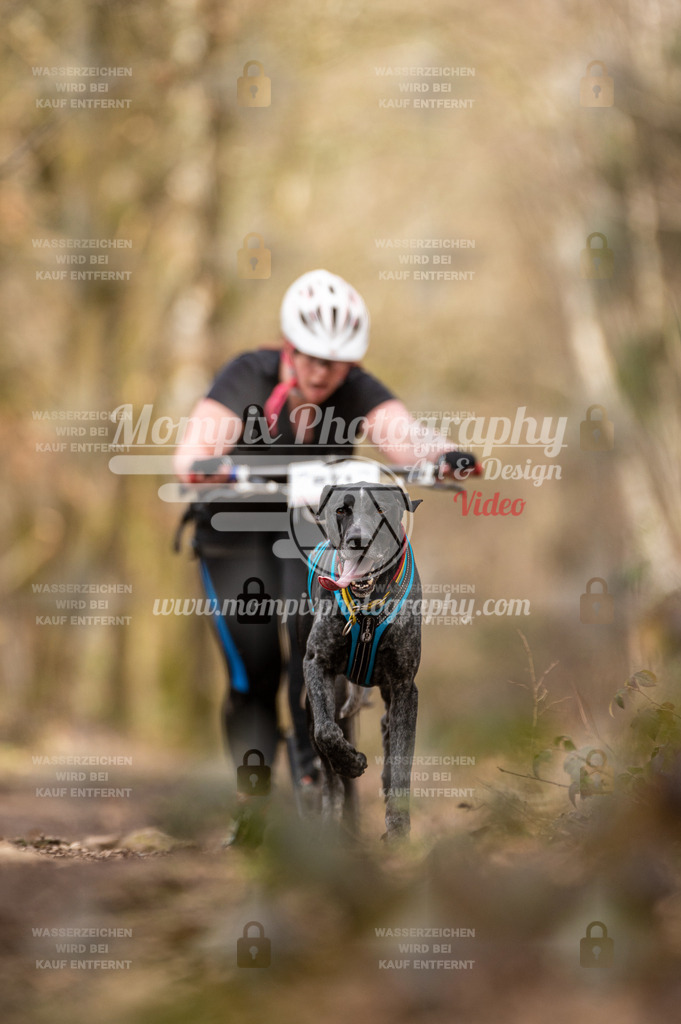 SPA_2023_SAM_Scooter-60 | PayLife