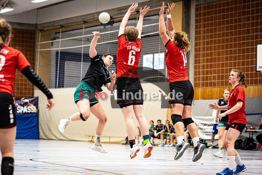 TSV Weilheim gegen TSV Murnau | Handball Bezirksoberliga Frauen Alpenvorland 2024/25, TSV Weilheim gegen TSV Murnau, 20250330,Torwurf Selina MIKULLA (TSV Murnau 8),2025-03-30 in Weilheim (Weilheim, Am Hardt), Selina MIKULLA (TSV Murnau 8)Copyright: WolfgangxLindner www.foto-lindner.de