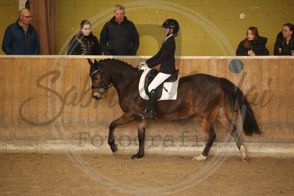 994A9126 | sabrinanicolaifotografie - Realisiert mit Pictrs.com