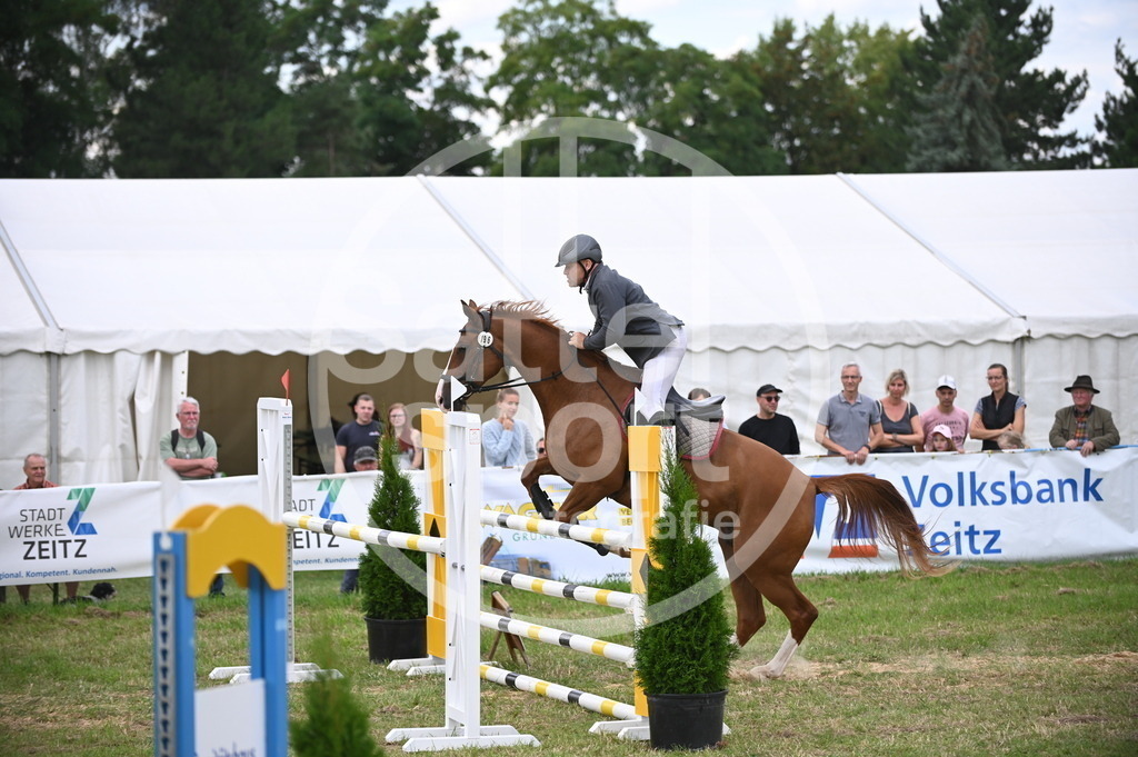 DSC_7987 | sattelsport - Realisiert mit Pictrs.com