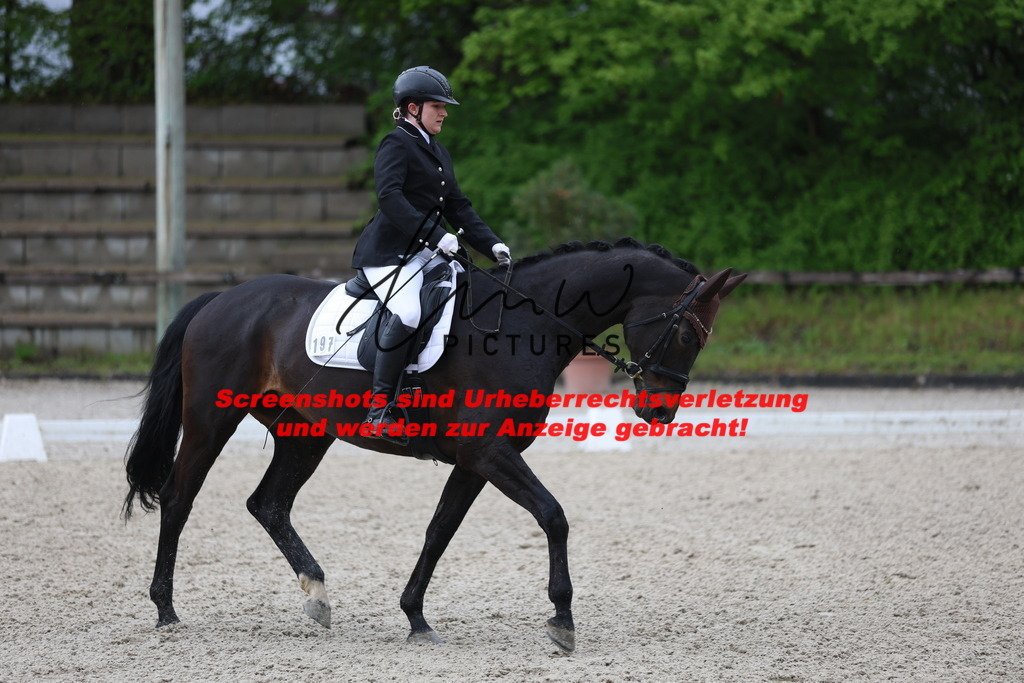 A40A8549 | lmwpictures - Realisiert mit Pictrs.com