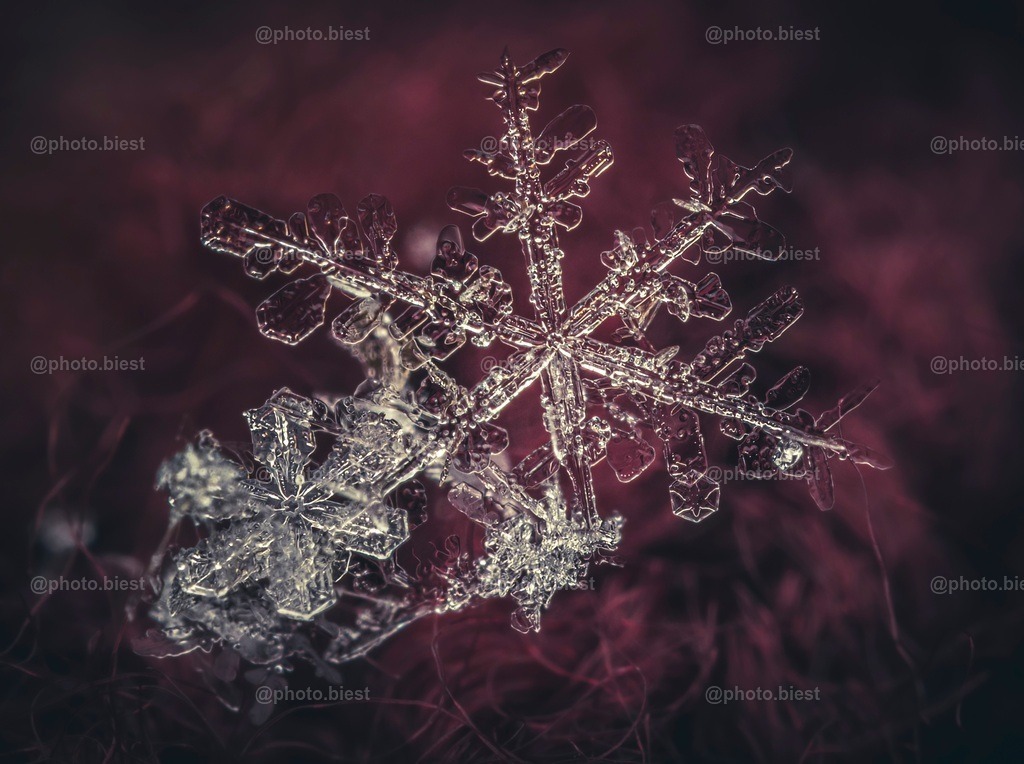 Schneeflocke #18 | Eine (von vielen) filigranen Schneeflocken in meinem ersten Makro-Schneeflocken-Winter. - Realisiert mit Pictrs.com