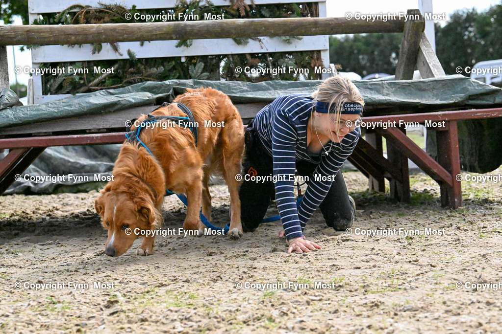 DSC_8722 | Hallo und herzlich Willkommen auf meiner Shop-Seite Fynn Most.

Ich wünsche Dir viel Spaß beim stöbern durch die Bilder, wenn Du Fragen hast oder Bilder vermisst, kannst du mir gerne eine Nachricht schreiben. - Realisiert mit Pictrs.com