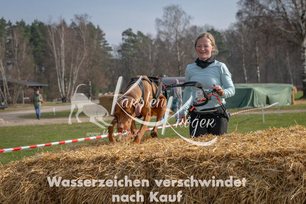 _ZZ91325 | kk-dogfotos