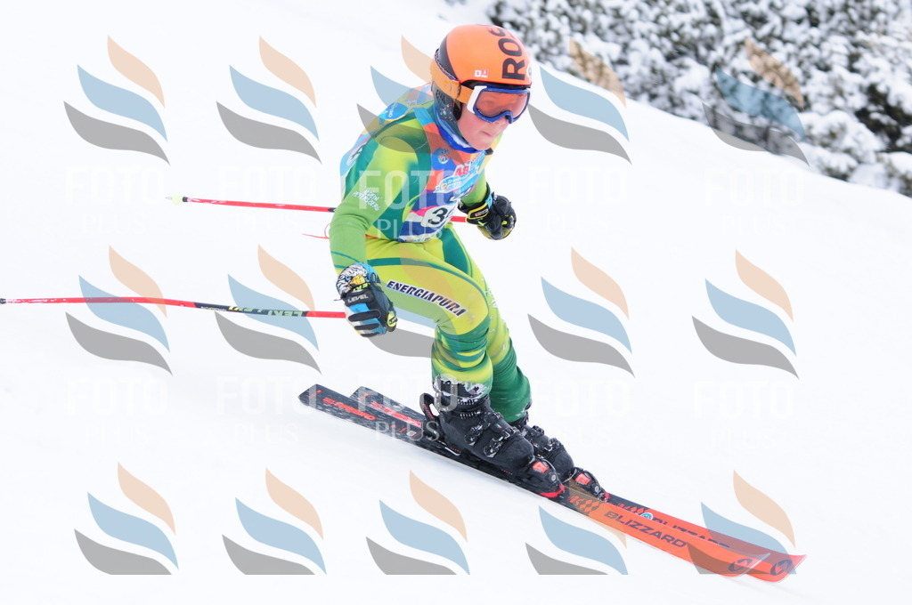 C3890 | holidayphoto