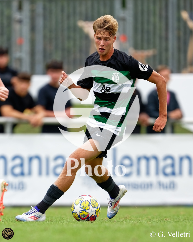 DZ9_0976 | Velletri Photo