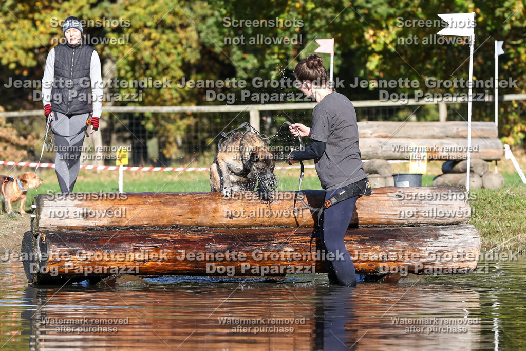 Dog Paparazzi - Strongdog 10-25-8882 | Dog Paparazzi Jeanette Grottendiek Fotografie & Videografie - Realisiert mit Pictrs.com