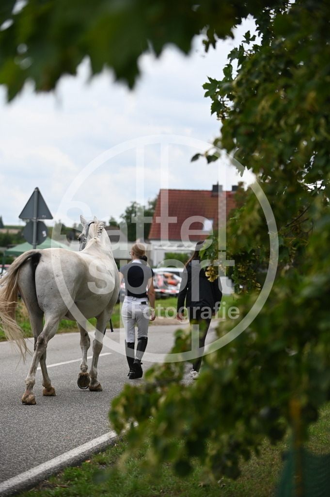 DSC_2130 | sattelsport - Realisiert mit Pictrs.com