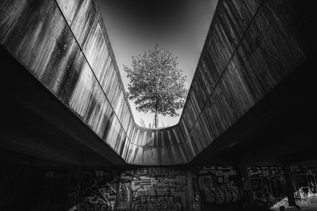 2024_10_22_HH-ALTONA-HERBST_MCP3436 sw | Hochwertig gedruckte Fotografien für die Wand, als Kalender und zum Verschenken. Hamburg & Norddeutschland und überall wo ich mit der Kamera unterwegs war.