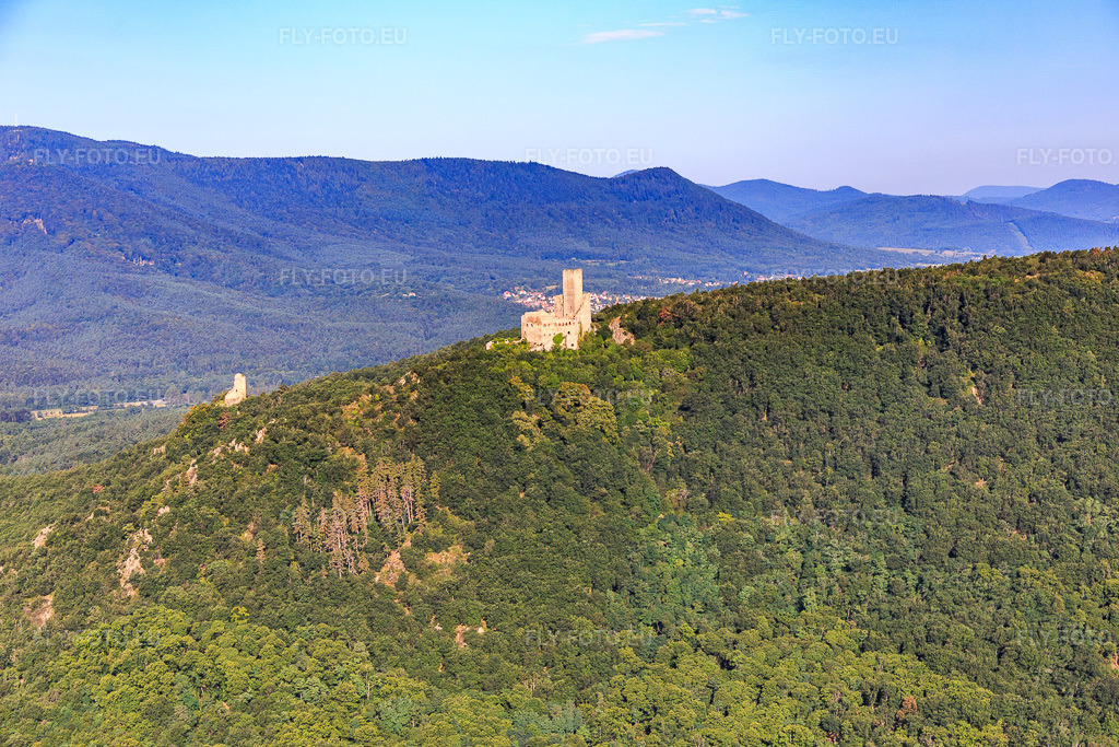 Vue aérienne: Château de l'Ortenbourg et Château du Ramstein à Scherwiller dans le département Bas Rhin, France – .Photo: IMG_093273.jpg prise le 16/08/2016 par Werner Riehm/FLY-FOTO.eu – Résolution de l'original: 5358 x 3572 px – Commune de Scherwiller - Bas-Rhin – Château de l'Ortenbourg - Visitgrandest