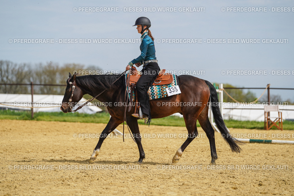 DSC04353 | Pferdegrafie