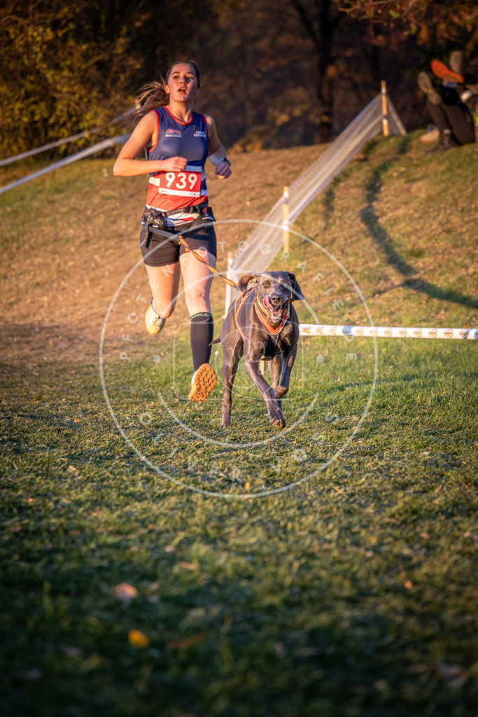 CaniXpix_0L8A1870 | Hundefotografie, Tierfotograf, Pfotenfotografie, Fotoshooting Hund, Hunde Portrait, Hundesport, Hundeportraits, Heideshooting, Hunde, Sportfotograf, Hundefotograf, Turnierhundsport, THS,  - Realisiert mit Pictrs.com