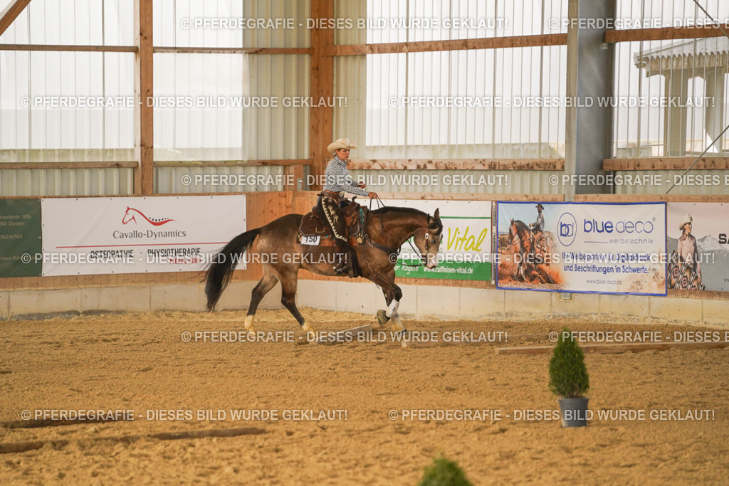 DSC02732 | Pferdegrafie