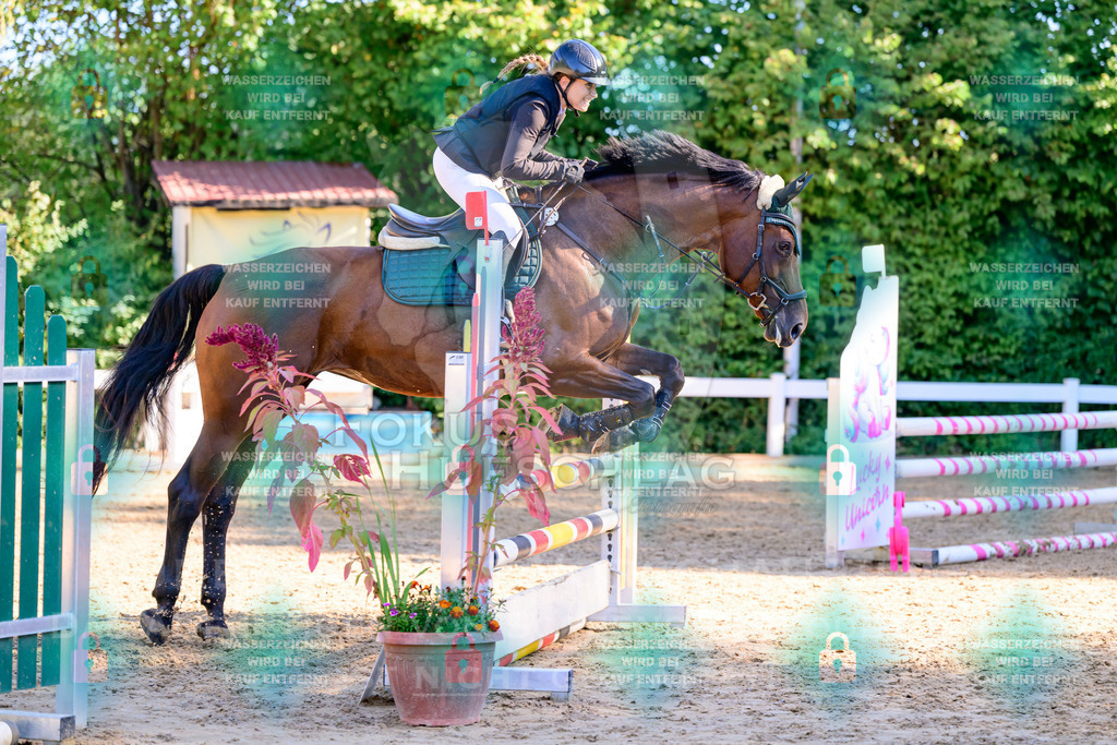 30082026-Giesenbach-Prfg16-0276 | Fokus Hufschlag Fotografie - Realisiert mit Pictrs.com