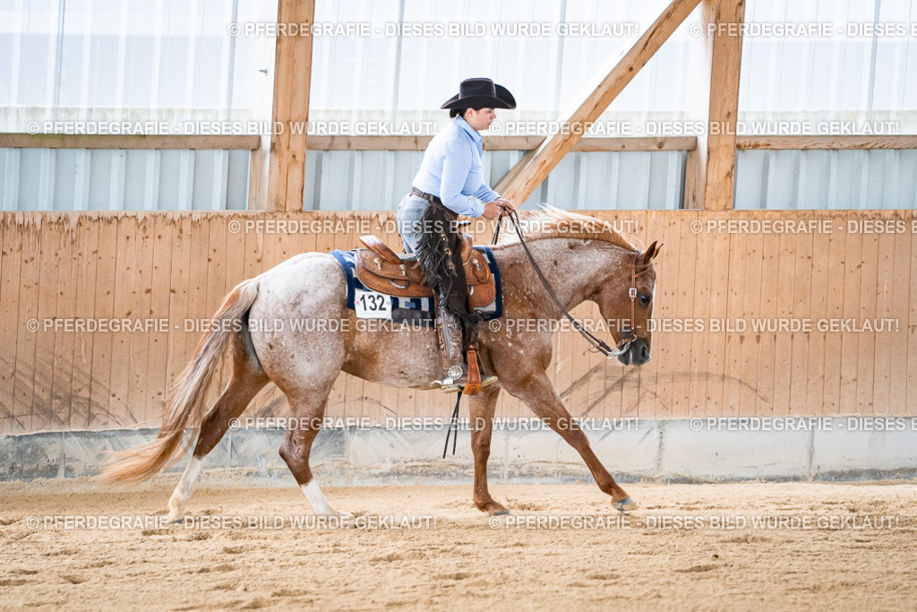 DSC08141 | Pferdegrafie