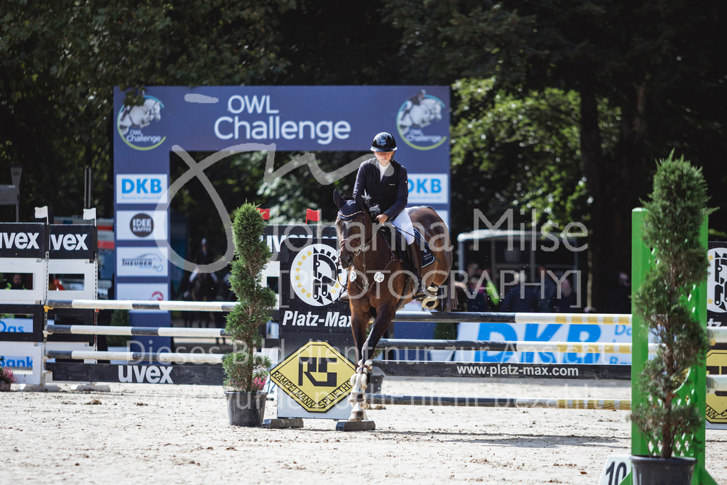 240914_OWLCh_AmateurS-409 | Deine schönsten Turniermomente als professionelle Fotos! Entdecke hochwertige Pferdesport-Fotografie im Online-Shop. Jetzt Fotos finden & bestellen!