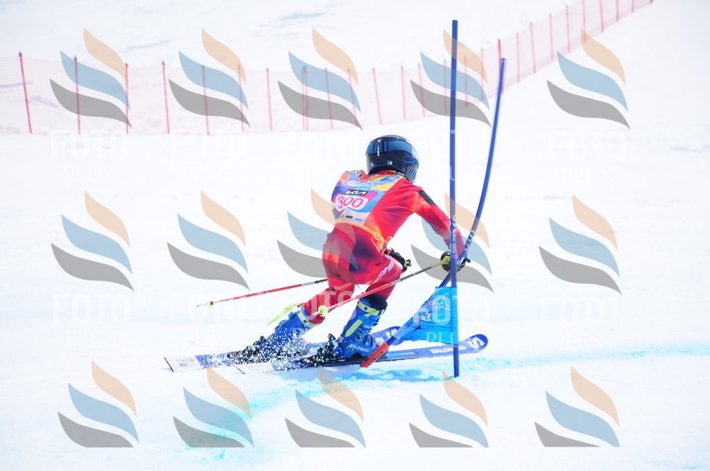 DSC_6678 | holidayphoto